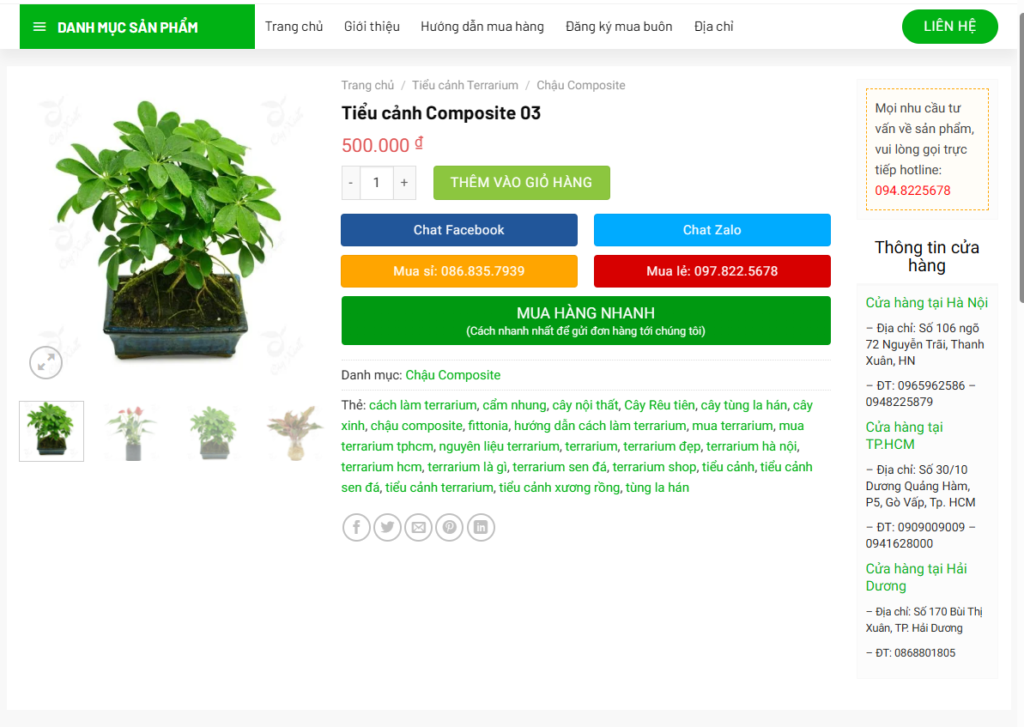 Mẫu Website Bán Cây Xanh (5)